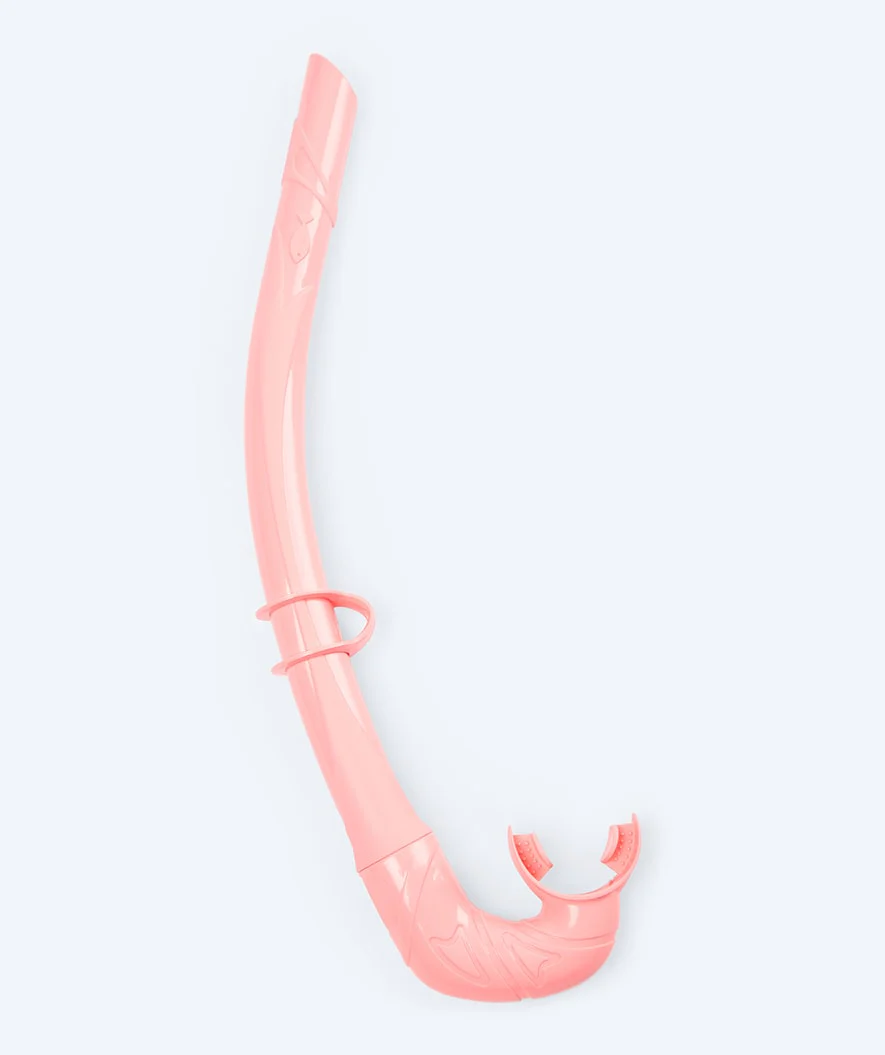 Miniatuur 5